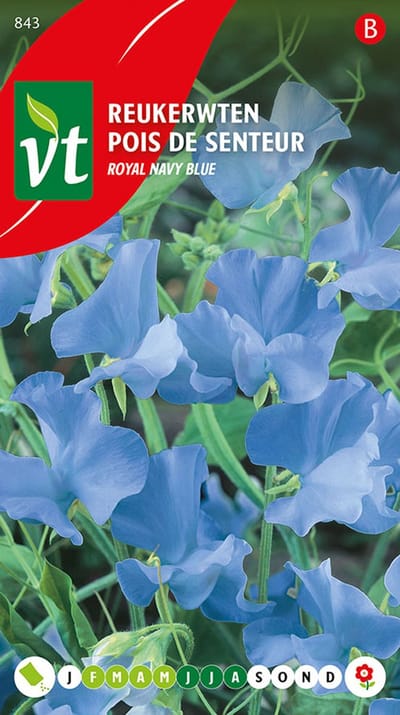 Reukerwten 'Royal Navy Blue' Zaden - Geurende en Sierlijke Blauwe Bloemen