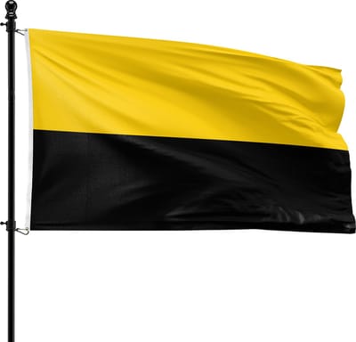 VlagDirect - Tiel vlag - Gemeente Tiel vlag - 90 x 150 cm.