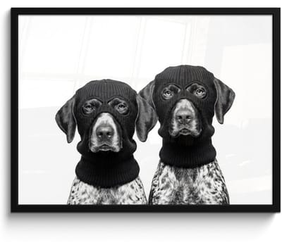 Poster in lijst - Fotolijst 80x60 cm - Posters - Honden - Bivakmuts - Zwart - wit - Posterlijst zwart - Decoratie - Wanddecoratie woonkamer - Muurdecoratie slaapkamer