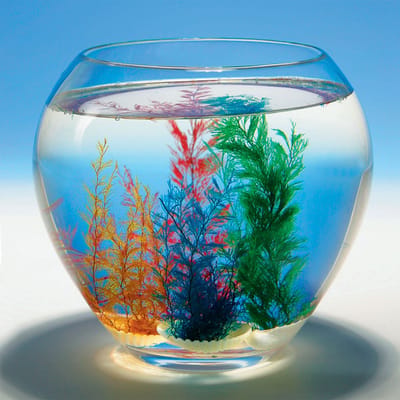 Goki Magic Shell 1pc.