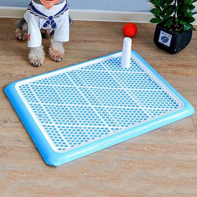 Huisdier Toilet - Honden Potje - Zindelijkheidstraining Binnen - Verdiept Chassis - 50x36cm - Blauw