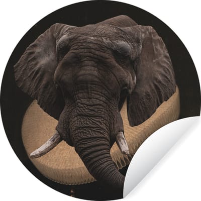 WallCircle® - Behangcirkel 30x30 cm - Muurstickers Olifant - Portret - Kleding - Muurcirkel woonkamer - Wandcirkel slaapkamer - Kamer decoratie zelfklevend - Muurdecoratie accessoires