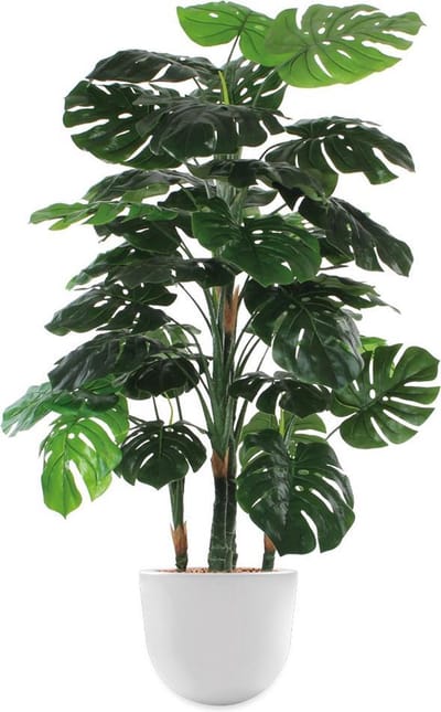 HTT - Kunstplant Monstera in Eggy wit H145 cm