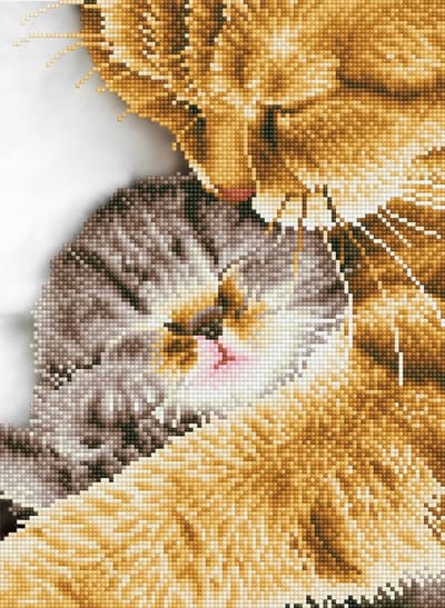 DDK7.037 Diamond Dotz® - Diamond painting volwassenen - Diamond painting met lijst - Dieren - Een teder moment 41 x 30cm - Ronde steentjes - Volledig pakket
