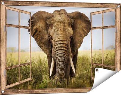 Gards Tuinposter Doorkijk Olifant in het Wild - Kleur - 90x60 cm - Tuindoek - Tuindecoratie - Wanddecoratie buiten - Tuinschilderij