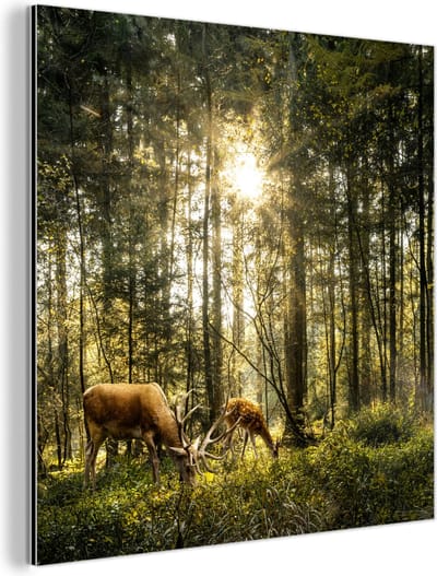 Aluminium schilderij 90x90 cm - Wanddecoratie metaal - Hert - Natuur - Bos - Metalen muurdecoratie woonkamer - Decoratie industrieel - Foto op dibond - Industriële accessoires slaapkamer