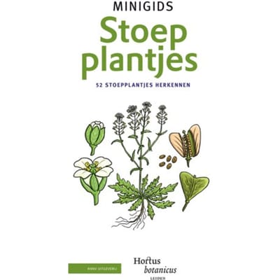 Set Minigids Stoepplantjes - Minigids - Hortus Botanicus Leiden