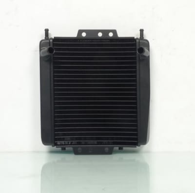 Radiateur de refroidissement TNT pour Scooter Piaggio 250 MP3 Neuf