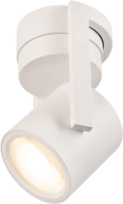 Dimbare Plafond- en Wandlamp LED Wit 11W Warm Wit Licht Oppervlaktestraler Binnenverlichting