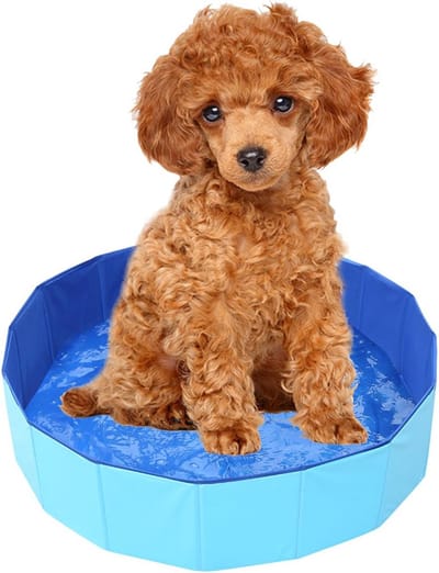 Opvouwbaar Hondenzwembad - Blauw - 50 x 8 cm - Stabiel en Antislip - Voor Kleine Honden