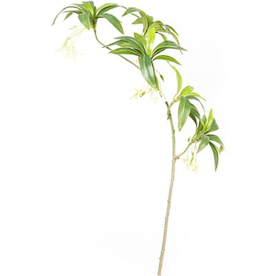 Kunstgroen 5 Takken Lange Stengel 3D Hainan Elaeocarpus Nep Planten Bloemen voor Huis Winkel