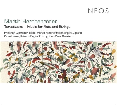 Friedrich Gauwerky & Martin Herchenröder - Terzattacke - Music For Flutes and Strings (CD)