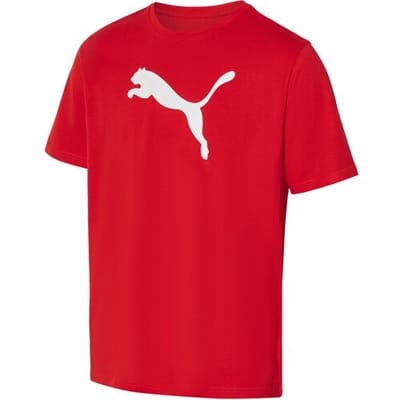 Puma teamRISE Logo Cotton Shirt Senior - Maat M