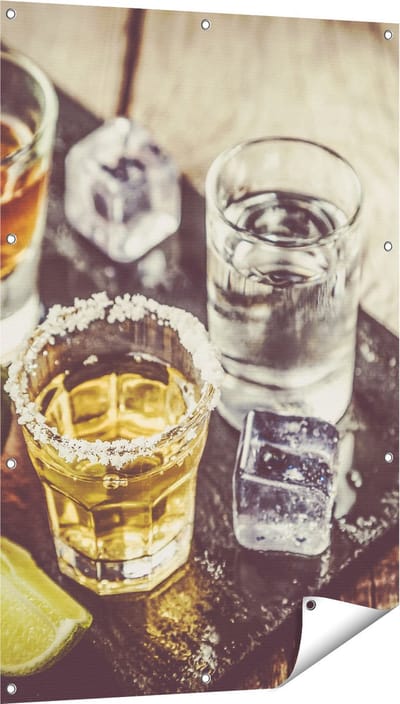 Gards Tuinposter Alcoholische Drankjes - Drank - 80x120 cm - Tuindoek - Tuindecoratie - Wanddecoratie buiten - Tuinschilderij