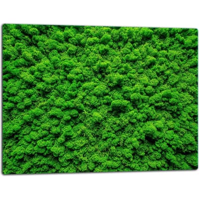 TMK ArtDeko - Snijplank - Glas - 52x40 cm - Groen