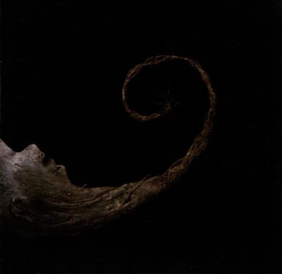 Scald - Vermiculatus (CD)