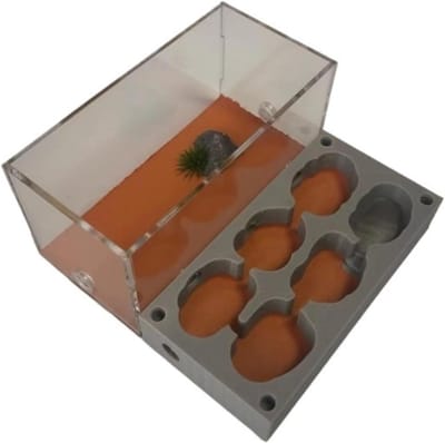 Mierenboerderij Nest - Mieren Kasteel Habitat - Educatief Ontdekken - Gedetailleerd Mierenleven - 15x14x7.3cm