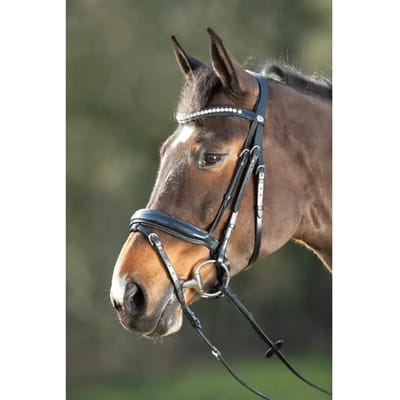 Rijhoofdstellen HFI Shiny