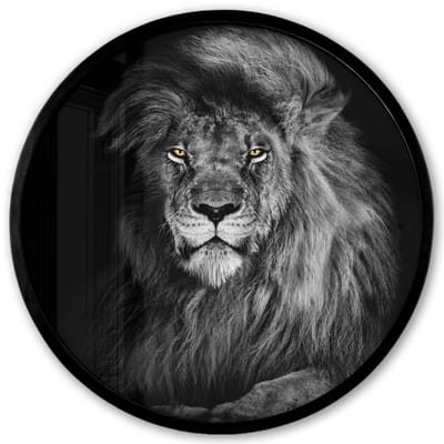 Poster in lijst Rond - Fotolijst 40x40 cm - Posters - Leeuw - Ogen - Oranje - Zwart wit - Dieren - Portret - Ronde posterlijst zwart - Decoratie - Wanddecoratie woonkamer - Muurdecoratie slaapkamer