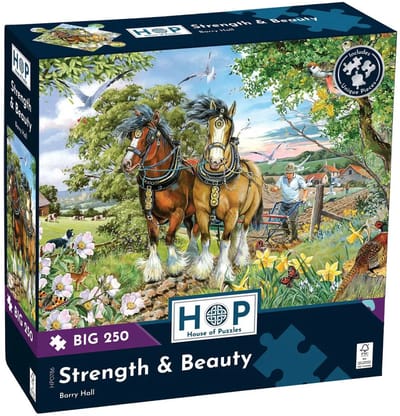 Strength & Beauty Puzzel 250 XL Stukjes