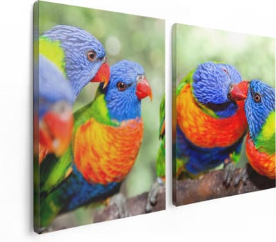Artaza Canvas Schilderij Tweeluik Vier Regenboog Lori Vogels Op Een Tak - 120x80 - Foto Op Canvas - Canvas Print