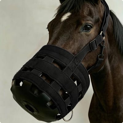 Paardenmuilkorf Metaal Beslag Paardenmuilkorf Dierentuig Anti-Bijten Ademend