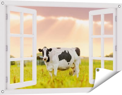 Gards Tuinposter Doorkijk Zwart Wit Koe in de Wei bij Zonsopkomst - 90x60 cm - Tuindoek - Tuindecoratie - Wanddecoratie buiten - Tuinschilderij