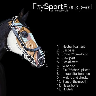 Hoofdstellen voor paarden Presteq FaySport Blackpearl