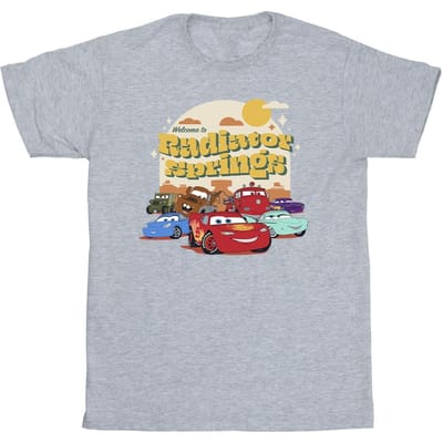 Disney Heren Cars Radiator Springs Groep T-Shirt (Sportgrijs)