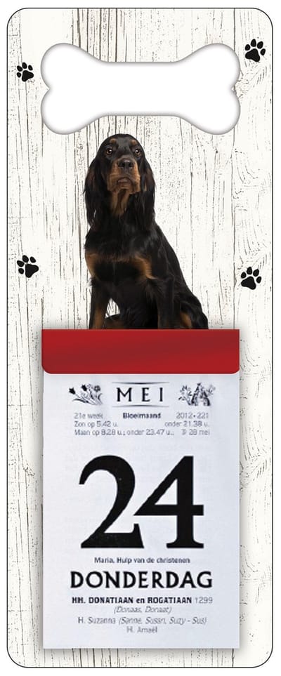 Scheurkalender 2027 Hond: Gordon Setter