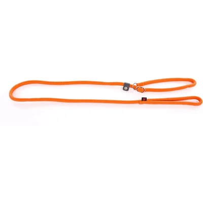 Halsband voor honden classic educatief nylon Martin Sellier