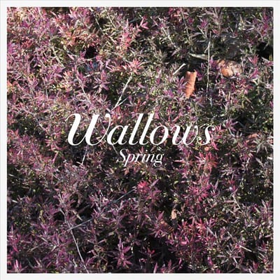Spring - Wallows