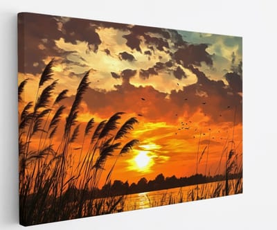 Saammp Canvas Schilderij - Zonsondergang - Planten - Nederland - Natuur - Landschap - 60x40 - Foto op canvas - Wanddecoratie - Muurdecoratie Woonkamer - Slaapkamer decoratie - Canvas Print
