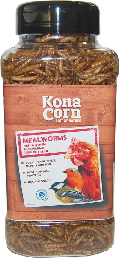 Konacorn Meelwormen | 1 ltr Snacks