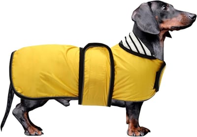 Miniatuur Teckel Regenjas met Reflecterende Streep en Verstelbare Bandjes voor Herfst en Winter - Geel - M - Ideaal voor Teckels, Hondenkleding, Dierenaccessoires