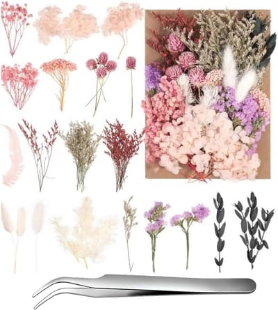 Natuurlijke Gedroogde Bloemen voor Knutselen en Feestelijke Decoraties