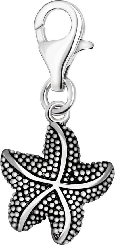 Quiges – 925 - Zilver – Charm - Bedel - Hanger - Zeester - met – sterling - zilver - karabijnslot - geschikt - voor -Bedelarmband HC084