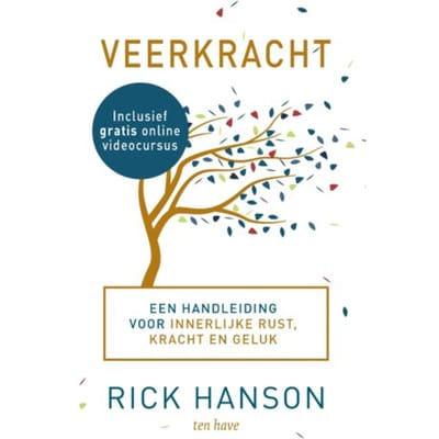 Veerkracht - Rick Hanson