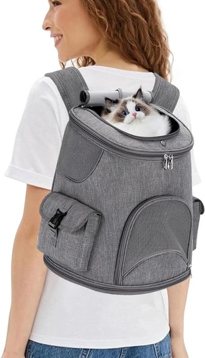 Huisdier Rugzak - Draagtas Kat Hond - Reizen met Huisdier - Opvouwbaar Ademend - Tot 6 kg - Zwart