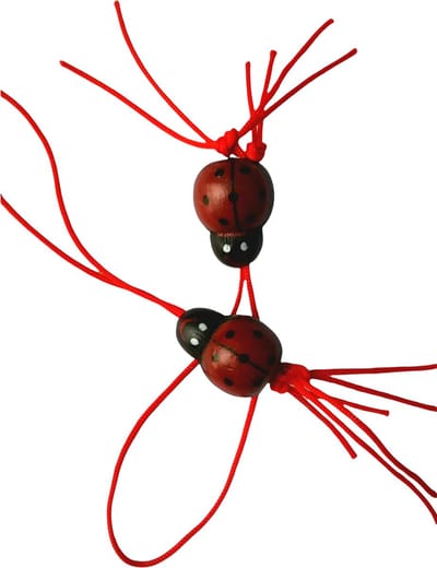 Gelukspoppetjes Gelukshanger Lieveheersbeestje 10 stuks