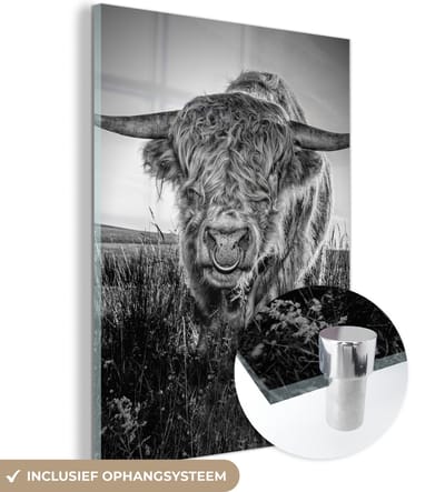 MuchoWow® Glasschilderij 120x160 cm - Schilderij acrylglas - Schotse Hooglander - Zwart - Wit - Foto op glas - Schilderijen