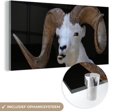 MuchoWow® Glasschilderij 40x20 cm - Schilderij acrylglas - Bok - Dieren - Hoorn - Foto op glas - Schilderijen