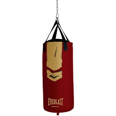 Bokszak Everlast Prospect 2