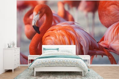 Behang - Fotobehang Flamingo - Vogel - Dieren - Roze - Breedte 375 cm x hoogte 280 cm
