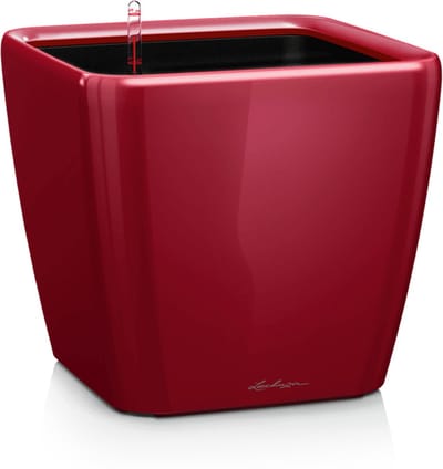 LECHUZA QUADRO Premium LS 21 - Plantenbak - met uitneembare binnenbak - met bewateringssysteem - ALL-IN-ONE set met LECHUZA-PON - scharlakenrood hoogglans