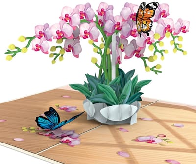 Dailygoods- Pop-up Kaart Orchideeën - Elegante 3D-Verjaardagskaart - Wenskaart voor Vrouwen - Speciale Kaart voor Verjaardag/Jubileum - Herstelkaart - Magische Papierkunst