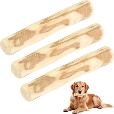 Dailygoods- Kauwbot Sterk - Kauwbotten Hond - Kauwspeelgoed Puppy - Koffiehout - Tandverzorging - 3 Stuks 14 cm