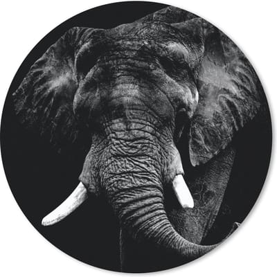 Muismat rond 20x20 cm - Mousepad Olifant - Dieren - Tanden - Zwart - Wit - Ronde muismatten