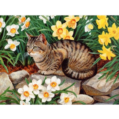 5D diamant broderie motif Animal perles ensembles diamant peinture chat strass point de croix 20X30CM black