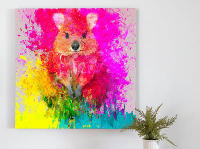 Rainbow burst quokka wallaby | Rainbow Burst Quokka / wallaby | Kunst - 40x40 centimeter op Canvas | Foto op Canvas